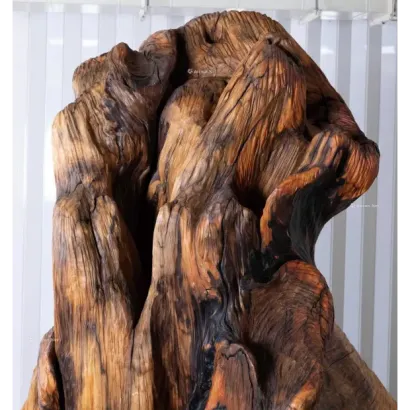 image _3_.webp