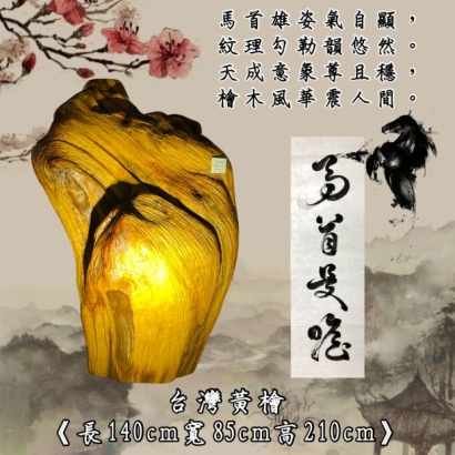 S__126836881.jpg