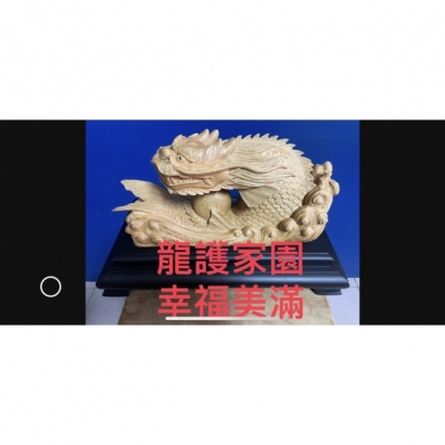 龍鰲魚.jpg