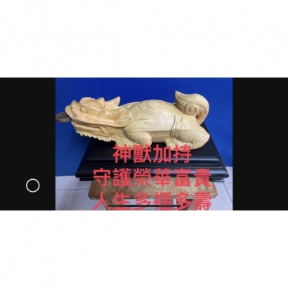 龍龜.jpg