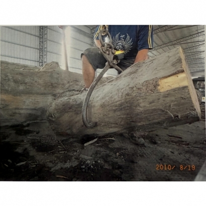 F004.jpg