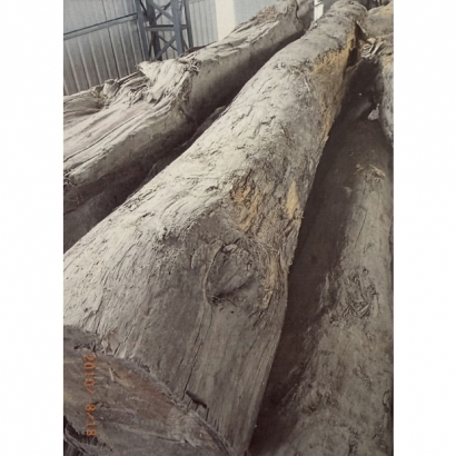 F091.jpg