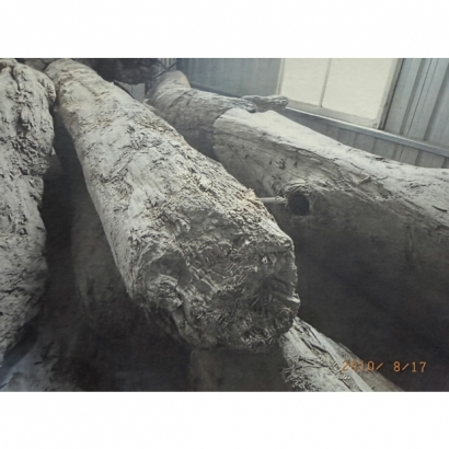 F107.jpg
