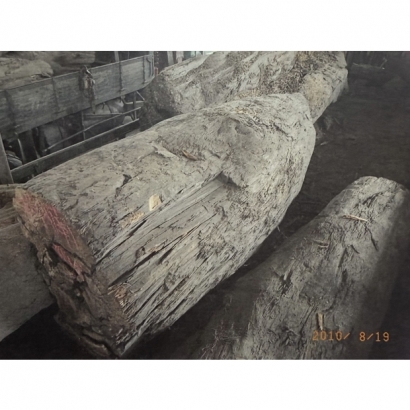 F143.jpg