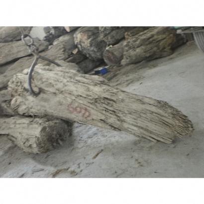 F175.jpg